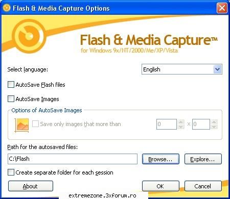 size: 3.79 mb
flash & media capture is a windows plugin for ms internet explorer. it adds a nice