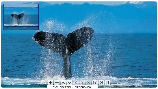 aleo flash pan zoom viewer v1.2
make flash pan zoom viewer for image and swf files in minutes