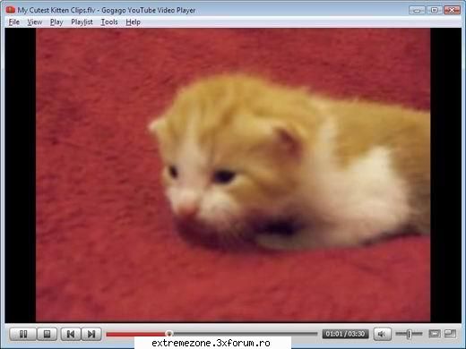 Gogago YouTube Video Player 1.1.8 - Gogago YouTube Video Player 1.1.8 | 5,70 mb - APPLICATIONS FREE DOWNLOAD